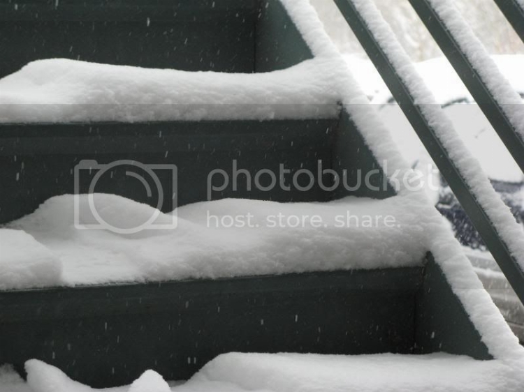 jan09snow006.jpg
