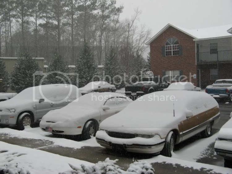 jan09snow008.jpg