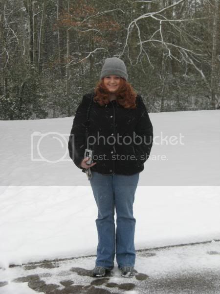 jansnowfallpt2003.jpg