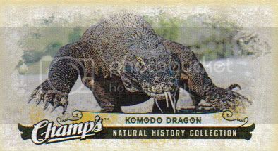 Komodo_Dragon.jpg