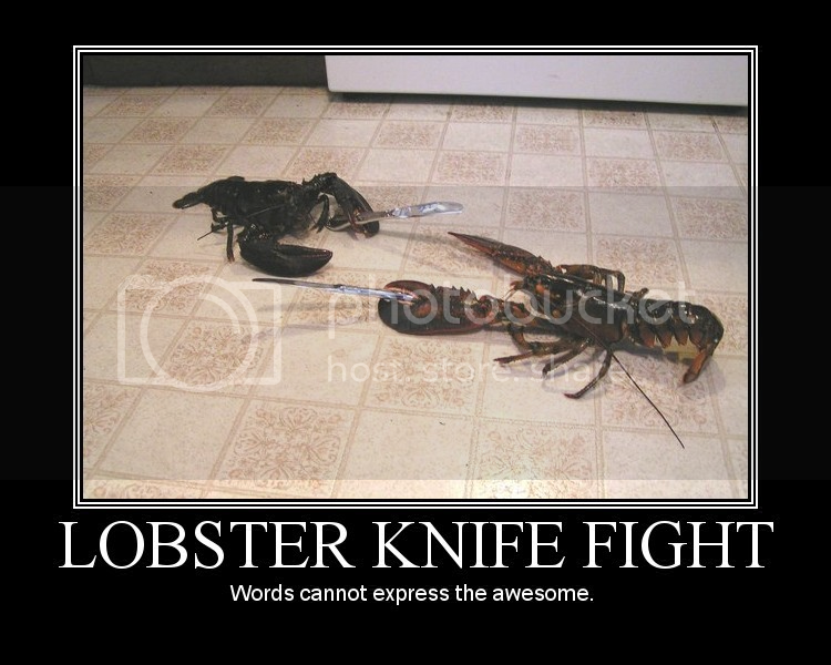 lobsterfight.png