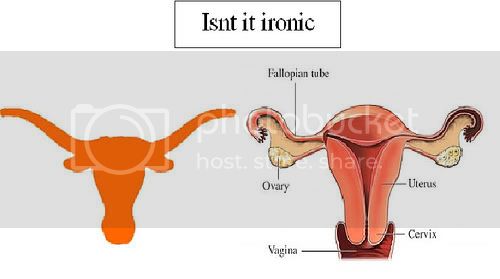 logotexasvagina.jpg