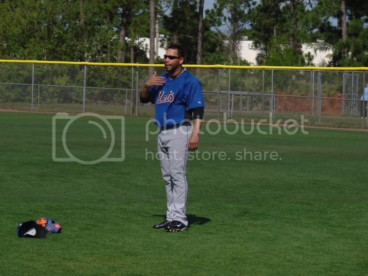 MetsST2010239.jpg