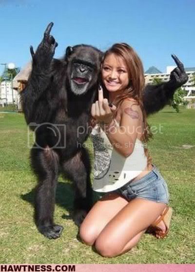 monkey.jpg