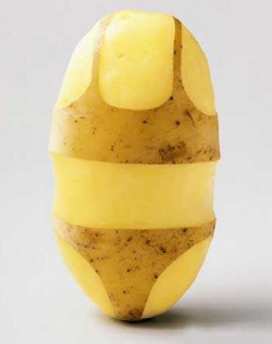 ne.qc.ca%2Fref2014%2Fpatate%2Fimgs%2Fbikini-patate.jpg