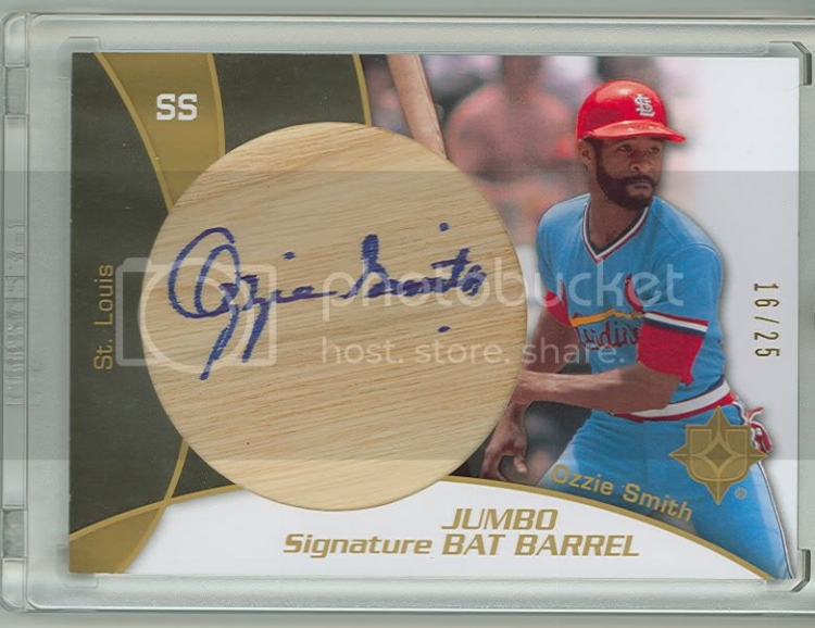 Ozzie_16_25.jpg