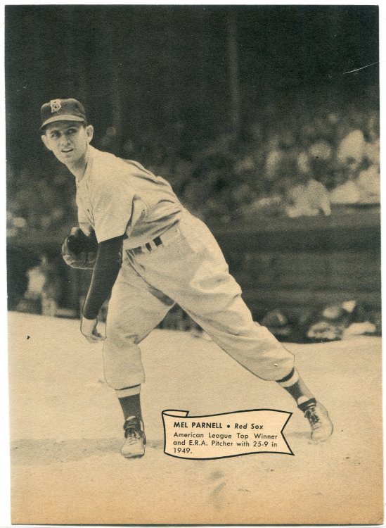 Parnell Dell Mini Poster Back.jpg