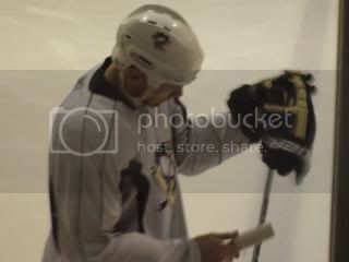 Penguinsmay1003.jpg