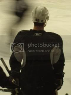 Penguinsmay1008.jpg