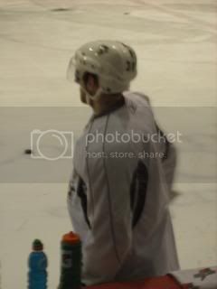 Penguinsmay1009.jpg