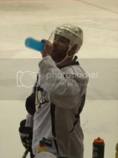 Penguinsmay1013.jpg