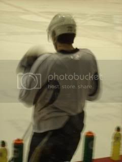 Penguinsmay1020.jpg