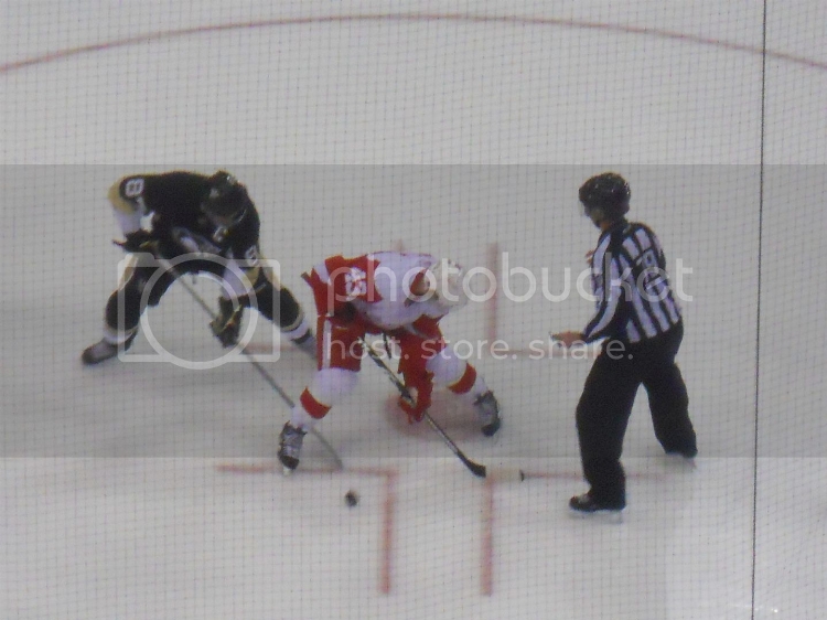 pens13110046.jpg