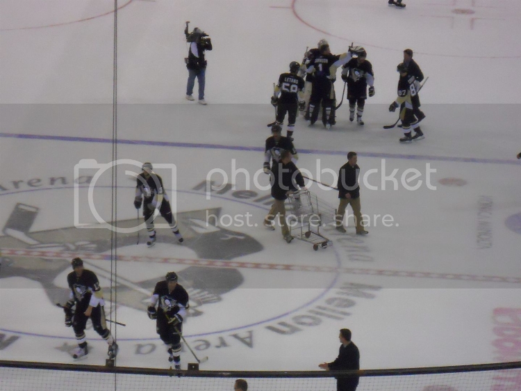 pens13110063.jpg