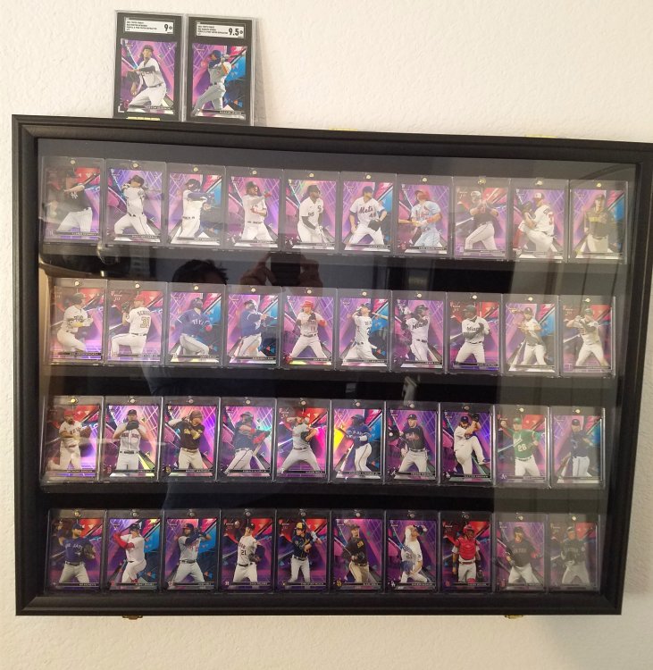 purple.jpg