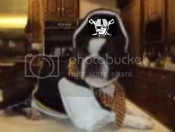 raidersdog.jpg