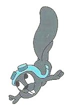 rockysquirrel1.jpg
