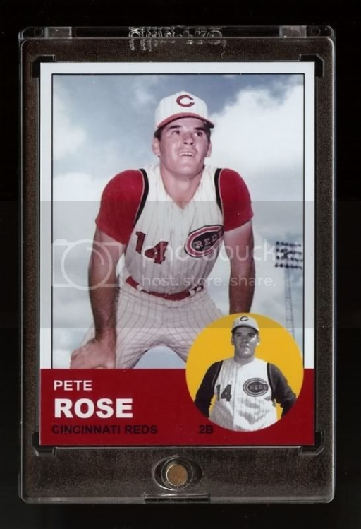 rose2custom.jpg