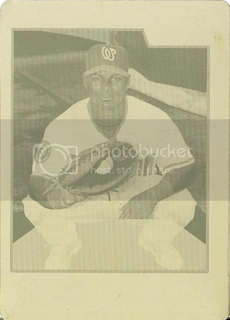 scan_floresplate.jpg