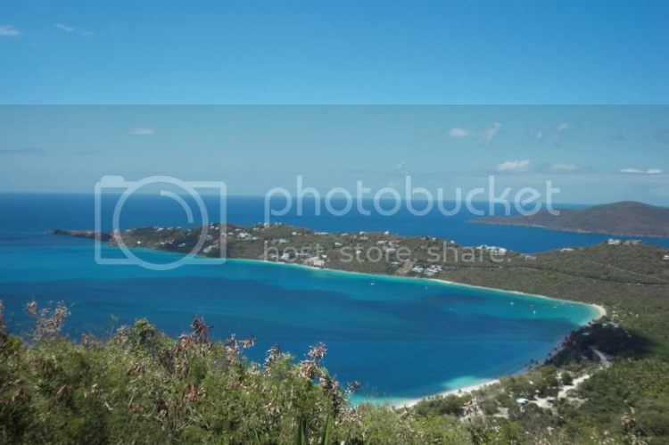 SDC10464.jpg