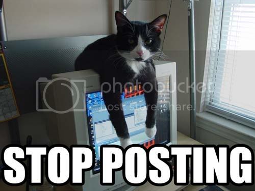 Stop_posting_cat.jpg