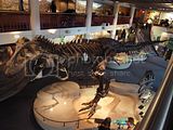th_089.jpg