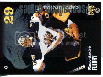 th_2002CapeBretonScreamingEagles.jpg