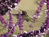 th_IMG_3263.jpg