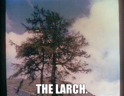 the larch.gif