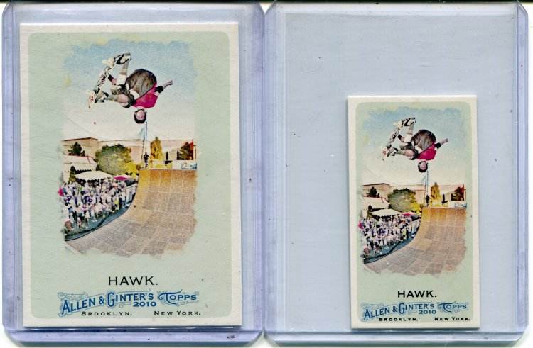 Tony Hawk RCs.jpg