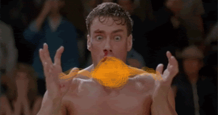 vandamme.gif