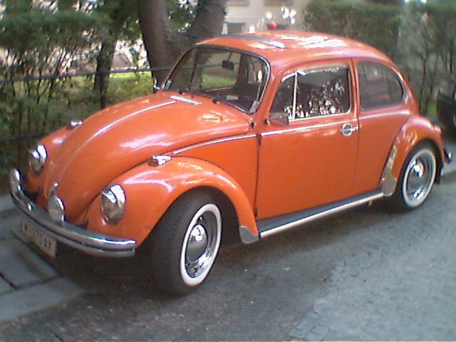 vw-kaefer-orange-1.jpg