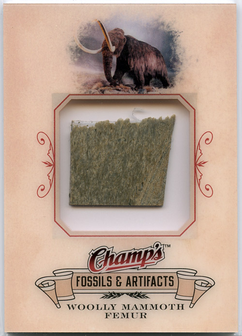 woolly-femur.jpg