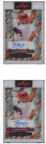 Y Molina Leaf x2.png