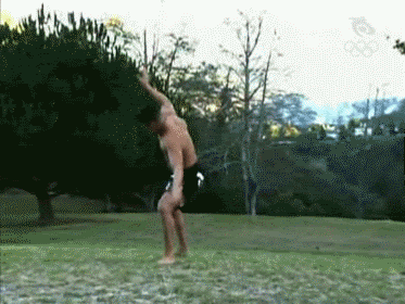 YES.gif