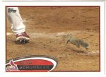 squirrel 001.jpg