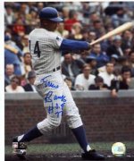 Ernie Banks 8x10.jpg