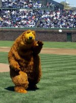 300px-Bear.baseball.jpg