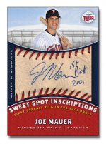 mauer-ssi.jpg