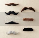 fakestaches.jpg