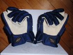 Suter Gloves 2.JPG