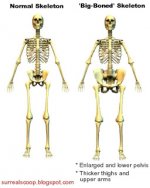 compare-big-bone-front-l.jpg