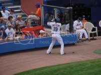 MetsST2010089.jpg