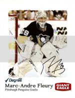 Fleury-3222011.jpg