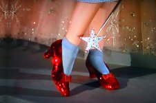 woz-ruby-slippers1.jpg