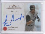 Gonzo tribute auto.jpg