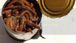 can-of-worms.jpg