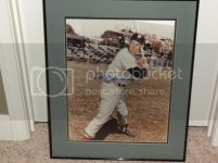 TedWilliams16x20.jpg