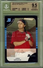 Bruce2005BowmanBGS95.jpg