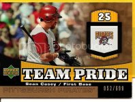 th_2006UpperDeckTeamPrideGold.jpg